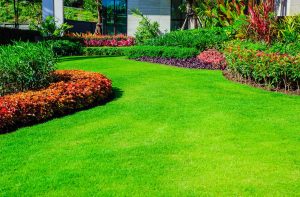 Front Yard, Landscape Design With Multicolored Shrubs Intersecting With Bright Green Lawn